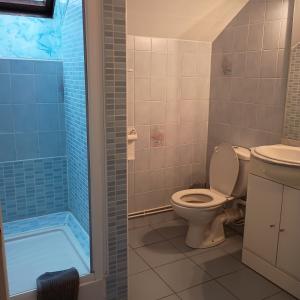 a bathroom with a toilet and a shower at Rest'ô Bar Les 2 Ponts in Saint-Simon