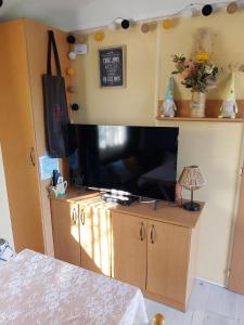 a flat screen tv sitting on top of a wooden cabinet at Chez Elvis et Agnès, logement climatisé in Saint-Loup