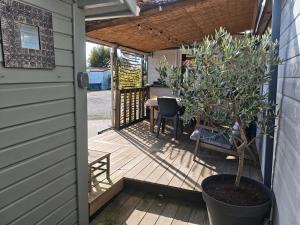 a porch with a table and a potted tree at Maison 47m2 climatisé, piscine,linge fourni in Gujan-Mestras