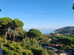 a view of a city with trees and the ocean at Residence Napoleon - MV in Procchio