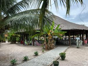 a pavilion with chairs and a palm tree on the beach at Tambazulik Pousada Maragogi in Maragogi