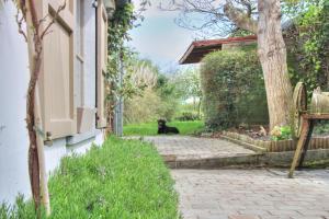 a black dog sitting next to a house at The River Cottage in Middelkerke