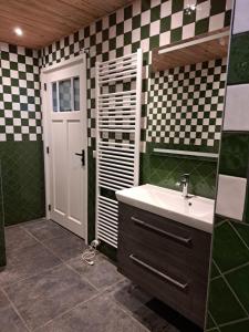 ein Badezimmer mit grün-weiß karierten Wänden und einem Waschbecken in der Unterkunft Dereshoeve in Bunschoten