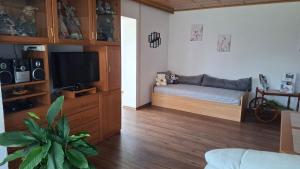 a living room with a bed and a flat screen tv at Uschi's guest apartment in Ruderting