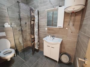 a bathroom with a toilet and a sink and a shower at Srce Fojnice in Fojnica