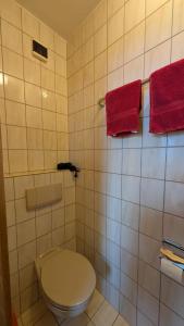 a bathroom with a white toilet and red towels at Gasthof Postgarten in Furth im Wald +13 photos