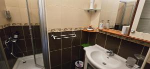 a bathroom with a sink and a shower at Vila Alexandra - Prime accomodation - Pumo Properties in Bucharest +22 photos