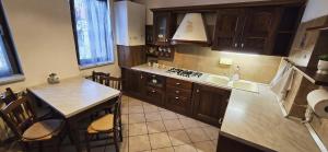 a kitchen with a sink and a counter top at Vila Alexandra - Prime accomodation - Pumo Properties in Bucharest