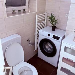 ein Badezimmer mit Waschmaschine und Toilette in der Unterkunft Studio Enemia in Lesce