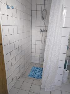 a shower with a blue mat in a bathroom at Fewo Helga in Glowe