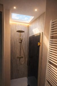 a bathroom with a shower with a skylight at Mansion RL with Unique Decoration in Antwerp +50 photos