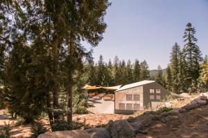 a small building in the middle of a forest at Genesis Mountain Farm in Sandpoint