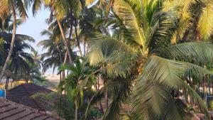 a group of palm trees in front of a house at MAHASATHI HOMESTAY Murdeshwar in Māvalli