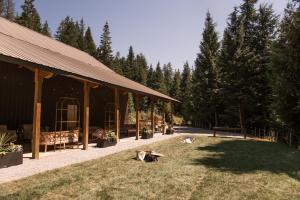 a group of animals sitting in the grass next to a building at Genesis Mountain Farm in Sandpoint