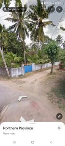 a picture of a dirt road with palm trees at Bird Nest Homestay in Jaffna