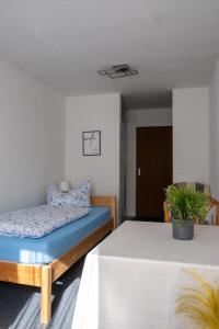 a bedroom with a bed and a table with a plant at Zimmervermietung Peter in Zirndorf +4 photos