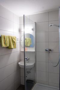 a bathroom with a shower and a sink at Zimmervermietung Peter in Zirndorf