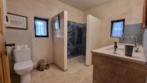 a bathroom with a toilet and a sink and a shower at La Fabrique in Gargas +31 photos