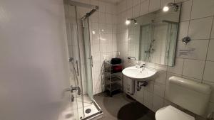 a bathroom with a shower and a toilet and a sink at ask rooms Privatzimmer in Kassel in Kassel +32 photos