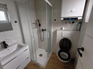 a bathroom with a shower and a toilet and a sink at Vila Azzuro in Žusterna +35 photos