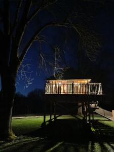a bench under a tree in a park at night at Chalets et cabane perchée "Ô Cœur des Puys" in Ceyssat