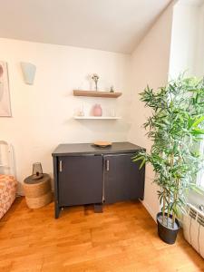 a black desk in a room with a plant at À deux pas du métro in Paris