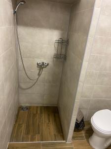 a bathroom with a shower with a toilet at Venus 1 in Kula