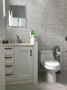 a bathroom with a toilet and a sink and a mirror at chill spot on the green in Belmont