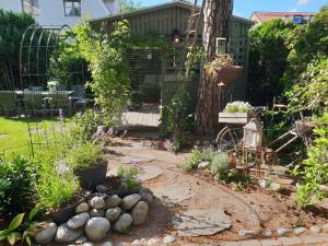 a garden with a tree and some plants at Cute gardenhouse close to Stockholm City in Solna +5 photos