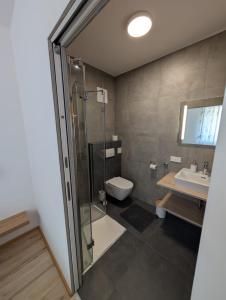 a bathroom with a shower and a toilet and a sink at Wagramzimmer - Satzingerhof in Großwiesendorf