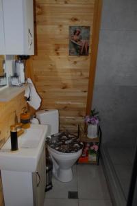 a bathroom with a toilet with a wooden wall at ''Sunflower'' in Dushetʼi +16 photos