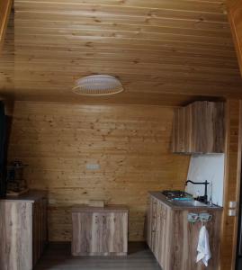 a kitchen with wooden walls and wooden cabinets and a ceiling at ''Sunflower'' in Dushetʼi