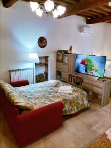 a bedroom with a large bed and a flat screen tv at Il Colle in Treggiaia
