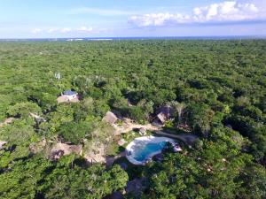 an aerial view of a house in the middle of a forest at Villa Morena Boutique Hotel Ecoliving in Akumal