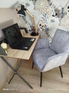 a desk with a laptop and a chair at Gite l'Amazonite in Laville-aux-Bois