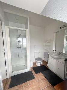 a bathroom with a shower and a toilet and a sink at Grand Mainguet in Saint-Lambert-la-Potherie