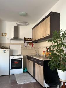 a kitchen with a white refrigerator and a sink at Lana in Trebinje +3 photos