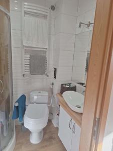 a small bathroom with a toilet and a sink at Apartament Lipowa in Lidzbark