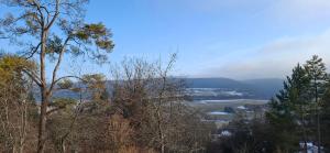 a view of a valley with trees in the foreground at Donaublick Möhringen in Tuttlingen +2 photos