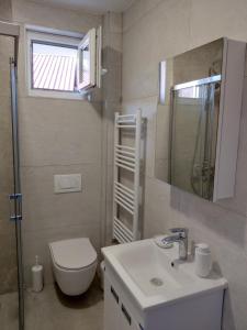 a bathroom with a toilet and a sink and a mirror at Vila Ella Mavrovo in Mavrovo +29 photos