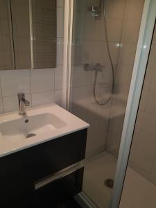 a bathroom with a sink and a shower at Abondance studio la marmotte in Abondance