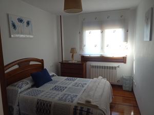 a bedroom with a bed and two windows at Sandino 32 in Santiago de Compostela