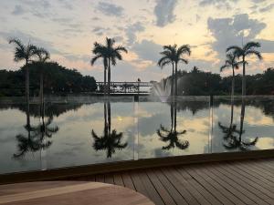 a view of a pond with palm trees and a fountain at Gran Luxxe 2 bdrm suite in Nuevo Nayarit