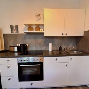 a kitchen with a stove and a sink at Ferienwohnung Meerane Zentrum in Meerane +7 photos