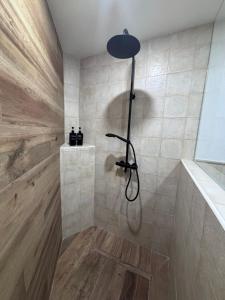 a shower with a shower head in a bathroom at El Capricho de Nunu SIMANCAS in Simancas +2 photos