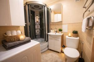 a bathroom with a shower and a toilet and a sink at Patricia Apartments in Vilnius