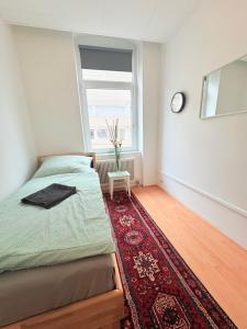 a bedroom with a bed and a window and a rug at Beenie 18 in Linz