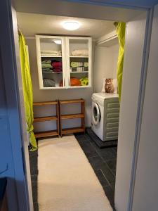 a small room with a microwave and a cat sitting on a washing machine at Ferienwohnung Im Einklang in Buchen