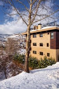 a building with a tree in the snow at Austria Luxury Apartments, Faraya Hotel in Fārayyā