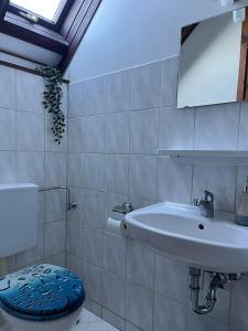 a bathroom with a sink and a toilet at Ferienhaus Lisa am Silbersee in Frielendorf
